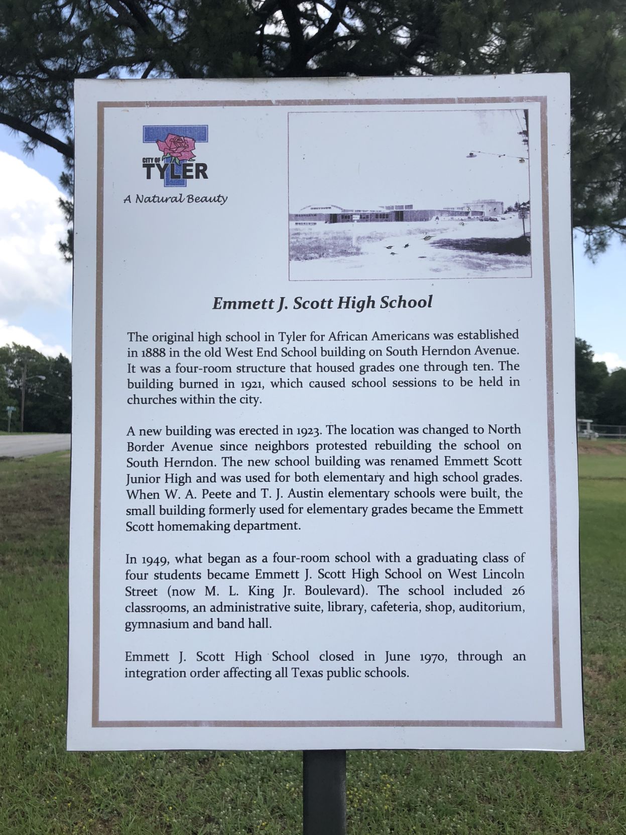 20190602_local_scotties_26